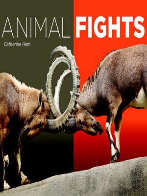 cover image of Animal Fights